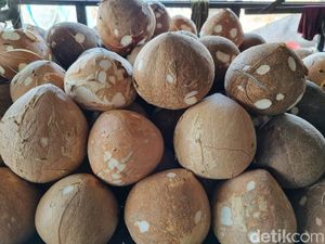 Harga Kelapa di Surabaya Naik Drastis, Rp 25 Ribu Per Buah