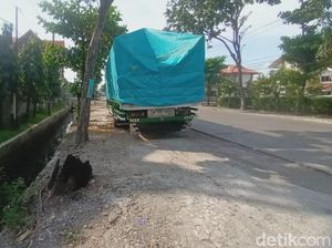 Viral Muncul Api di Pohon Tumbang yang Tutup Jalan Ronggowarsito Semarang