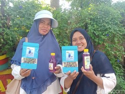 Inspiratif! Ibu-ibu di Sidoarjo Manfaatkan Bunga Telang Jadi Cuan