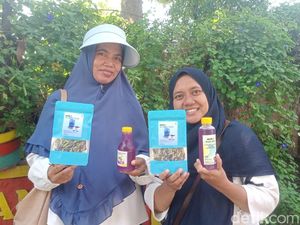 Inspiratif! Ibu-ibu di Sidoarjo Manfaatkan Bunga Telang Jadi Cuan Inspiratif! Ibu-ibu di Sidoarjo Manfaatkan Bunga Telang Jadi Cuan