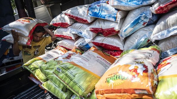 Produksi Beras Nasional April 2025 Meningkat, Siap Lampaui 1 Juta Ton