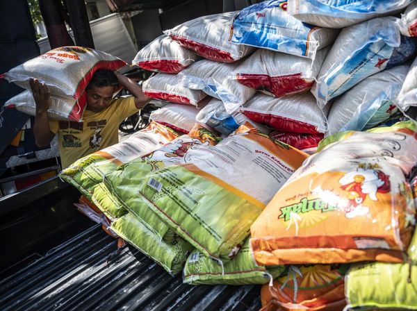 Produksi Beras Nasional April 2025 Meningkat, Siap Lampaui 1 Juta Ton