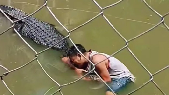 Turis digigit buaya di Kebun Binatang Zambonga Sibugay Turis digigit buaya di Kebun Binatang Zambonga Sibugay niat selfie
