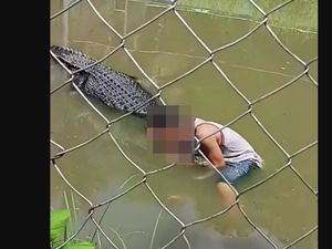 Selfie Bareng Buaya di Kebun Binatang Berujung Diterkam