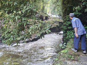 Aliran Sungai dari Lembang ke Kota Bandung Tercemar Kotoran Ternak