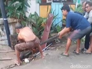 Heboh Ular Piton 4,5 Meter Gigit Warga Saat Dievakuasi di Tuban Heboh Ular Piton 4,5 Meter Gigit Warga Saat Dievakuasi di Tuban
