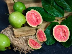Bikin Sehat! 5 Khasiat Seduhan Daun Jambu Merah Bikin Sehat! 5 Khasiat Seduhan Daun Jambu Merah