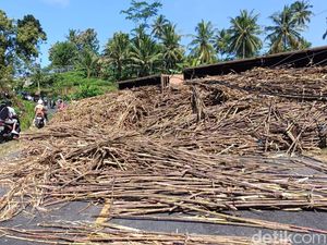 Truk Muat Tebu Terguling, Muatannya Tutup Jalur Blitar-Malang