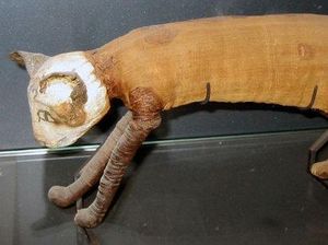 Kucing Modern Disebut Berasal dari Ritual Mesir Kuno Kucing Modern Disebut Berasal dari Ritual Mesir Kuno