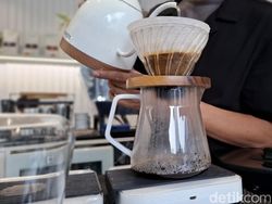 Karakter Unik dari Seduhan Biji Kopi Papua Japanese Style Roast