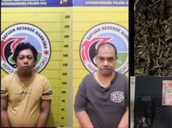 Topan dan Ahmad Diringkus Polres OKU karena Jadi Bandar-Pengedar Ganja