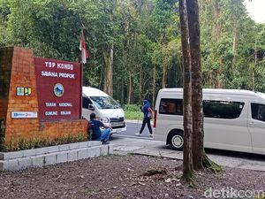Dispar NTB Sesalkan Tarif Parkir Rp 50 Ribu di Savana Propok Lombok Timur Dispar NTB Sesalkan Tarif Parkir Rp 50 Ribu di Savana Propok Lombok Timur