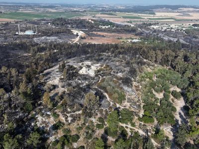 Asap Membumbung di Dekat Biara Latrun Akibat Kebakaran Hutan