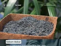 Indonesia Kirim Sekam Bakar Sebanyak 8,9 Ton ke Belanda