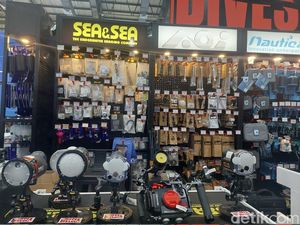 Lagi Cari Peralatan Diving? Datang ke Sini Saja Lagi Cari Peralatan Diving? Datang ke Sini Saja