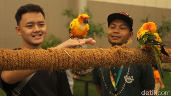 Intip Keseruan Pameran Hewan Peliharaan di BSD, Bakal Ada Bobby Kertanegara