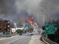 Video: Kebakaran Hutan Parah Melanda Israel, Netanyahu Umumkan Status Darurat