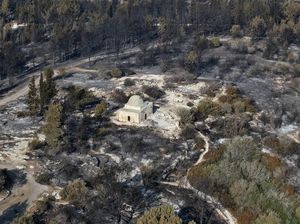 Kebakaran Hutan Hanguskan Wilayah Israel Kebakaran Hutan Hanguskan Wilayah Israel