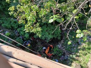 2 Orang Tewas Usai Motornya Terjun Bebas dari Jembatan 2 Orang Tewas Usai Motornya Terjun Bebas dari Jembatan