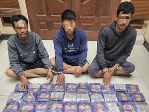 Polisi Gagalkan Penyelundupan 30 Kg Sabu-2 Ribu Vape Narkoba di Labura Polisi Gagalkan Penyelundupan 30 Kg Sabu-2 Ribu Vape Narkoba di Labura