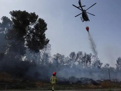 Beberapa Negara Kirim Pesawat Bantu Israel Padamkan Kebakaran Hutan