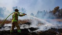 Petugas Damkar Berjibaku Padamkan Kebakaran Hutan di Wilayah Israel