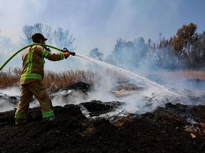 Petugas Damkar Berjibaku Padamkan Kebakaran Hutan di Wilayah Israel