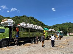 64 Truk Sapi NTB Bisa Melintas di Bali, Iqbal Ucapkan Terima Kasih ke Koster 64 Truk Sapi NTB Bisa Melintas di Bali, Iqbal Ucapkan Terima Kasih ke Koster