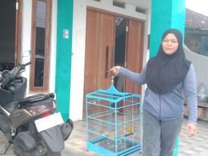 Apes Maling di Ceper Klaten Gagal Gasak Burung gegara Ditonjok Emak-emak Apes Maling di Ceper Klaten Gagal Gasak Burung gegara Ditonjok Emak-emak