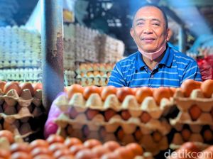 Penyebab Penjual Telur Dituding Nyolong Listrik hingga Didenda Rp 19 Juta Penyebab Penjual Telur Dituding Nyolong Listrik hingga Didenda Rp 19 Juta