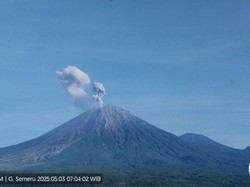 Gunung Semeru 3 kali Erupsi Hari Ini, Tinggi Letusan hingga 900 Meter