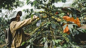 Harum Bunga Coffee Bawa Secercah Semangat Melintasi Batas Negeri