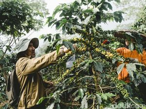 Harum Bunga Coffee Bawa Secercah Semangat Melintasi Batas Negeri