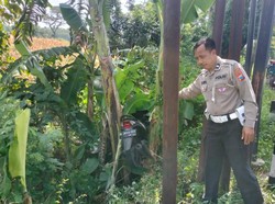 Ibu Naik Motor Tewas Usai Masuk Parit di Jalur Malang-Pasuruan
