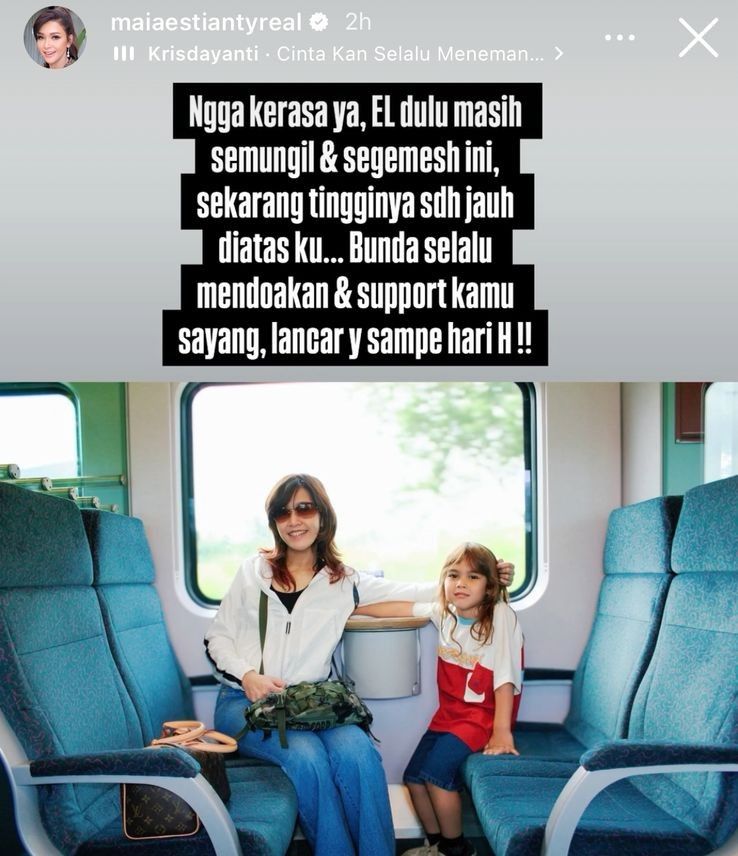 Maia Estianty dan El Rumi