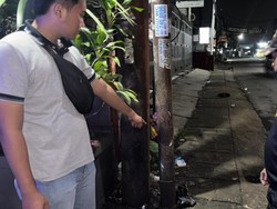 2 Pelaku Tawuran di Tangsel Ditangkap Usai Motor Tabrak Tiang Listrik