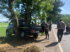 Pikap Angkut 20 Orang Tabrak Pohon di Lombok Barat, 1 Tewas Pikap Angkut 20 Orang Tabrak Pohon di Lombok Barat, 1 Tewas
