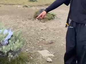 Viral Pendaki Jorok Buang Celana Dalam Bekas dan Tinja di Gunung Gede Pangrango Viral Pendaki Jorok Buang Celana Dalam Bekas dan Tinja di Gunung Gede Pangrango