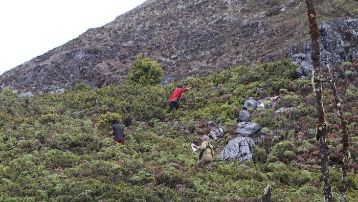 Tim SAR adonan mencari pendaki hilang di Gunung Binaiya Maluku Tengah. Tim SAR adonan mencari pendaki hilang di Gunung Binaiya Maluku Tengah.