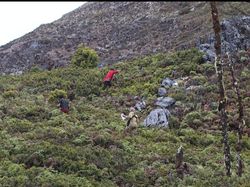 Pendaki Asal Bogor Hilang 9 Hari di Gunung Binaiya, Ini Jejak Terakhirnya