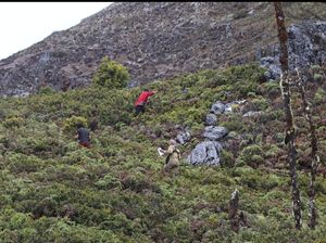 Pertimbangan Pencarian Pendaki Hilang di Gunung Binaiya Kembali Dilanjutkan Pertimbangan Pencarian Pendaki Hilang di Gunung Binaiya Kembali Dilanjutkan
