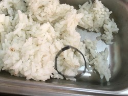 Hiii! Temuan Ulat di MBG SMKN 4 Jogja Bikin Siswa Trauma