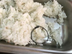 Hiii! Temuan Ulat di MBG SMKN 4 Jogja Bikin Siswa Trauma Hiii! Temuan Ulat di MBG SMKN 4 Jogja Bikin Siswa Trauma