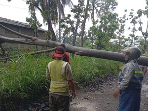 Hujan Disertai Angin Terjang Sleman, 1 Orang Tewas Tertimpa Pohon di Ngemplak Hujan Disertai Angin Terjang Sleman, 1 Orang Tewas Tertimpa Pohon di Ngemplak