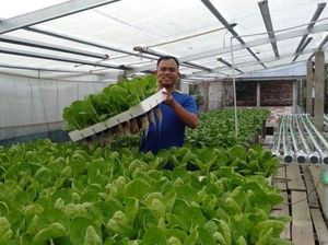 Pertamina Perkuat Adaptasi Iklim Lewat Sistem Pangan Terintegrasi di Jambi Pertamina Perkuat Adaptasi Iklim Lewat Sistem Pangan Terintegrasi di Jambi