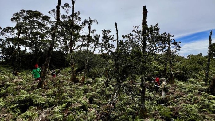 Tim SAR menghentikan operasi penelusuran pendaki hilang di Gunung Binaiya, Maluku Tengah. Tim SAR menghentikan operasi penelusuran pendaki hilang di Gunung Binaiya, Maluku Tengah.