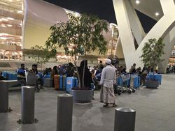 Gunakan Visa Kerja, 117 Calhaj RI Ditangkal Masuk Saudi dan Dipulangkan