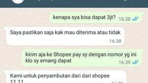 Ragam Chat Penipu Gagal Nipu yang Bikin Ngakak, Ketahuan Bohong!