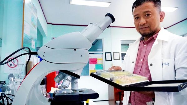 Potret Spesies Mikroalga Baru yang Ditemukan Peneliti UB