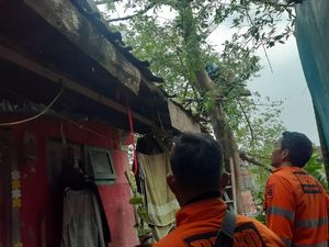 Hujan Disertai Angin di Bogor, Dahan Pohon Tumbang Timpa Rumah